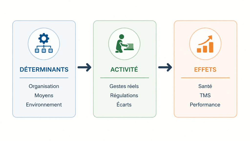 Infographie du modèle Déterminants-Activité-Effets : organisation et moyens, gestes réels et régulations, effets sur la santé et la performance